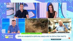 Ο εκπρόσωπος τύπου της Πυροσβεστικής ενημερώνει για την κατάσταση των σημερινών πυρκαγιών 