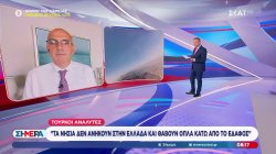 Τούρκοι αναλυτές: 