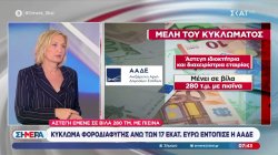 Άστεγη έμενε σε βίλα 280 τμ. με πισίνα
