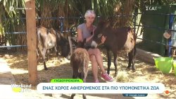 Γαϊδουροχώρα: Ένας χώρος αφιερωμένος στα πιο υπομονετικά ζώα 
