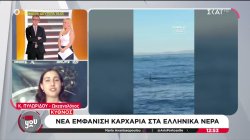 Κύθνος: Νέα εμφάνιση καρχαρία στα ελληνικά νερά