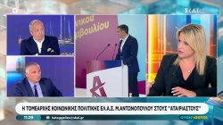 Μ. Αντωνοπούλου (ΕΛ.Α.Σ.): Μπήκανε στο ταμείο 36 δις πόσα πήγανε στη μεσαία τάξη;