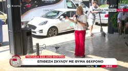 Τρόμος έξω από φούρνο: Σκύλος επιτέθηκε σε άνδρα και σκότωσε το κατοικίδιό του – Τι λέει αυτόπτης μάρτυρας 