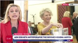 Δεν εκλέγεται Αντιπρόεδρος της Βουλής η Έλενα Ακρίτα - Άγρια κόντρα πριν από την ψηφοφορία