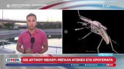 Ιός Δυτικού Νείλου: Μεγάλη αύξηση στα κρούσματα την τελευταία εβδομάδα 