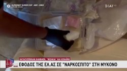 Έφοδος της ΕΛ.ΑΣ. σε 