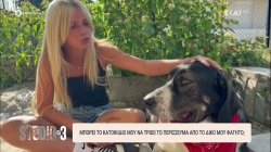 Μπορεί το κατοικίδιο μας να τρώει το περίσσευμα από το φαγητό μας; 