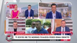 Ο Ηλίας Κασιδιάρης ετοιμάζεται για τις εκλογές: Τι ισχύει με το νομικό πλαίσιο - Πόσο είναι εφικτό