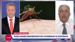 Ιός Δ. Νείλου «Καμπανάκι» από τα πολλά νέα κρούσματα – Ποιοι κινδυνεύουν – Τι λέει ο Θ. Βασιλακόπουλος