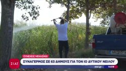 Συναγερμός σε 63 Δήμους για τον ιό του Δυτικού Νείλου - Συνεχείς ψεκασμοί