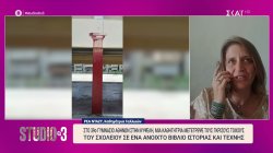 Κυψέλη: Μια καθηγήτρια μετέτρεψε τους γκρίζους τοίχους σχολείου σε ανοιχτό βιβλίο ιστορίας & τέχνης