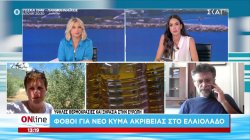 Φόβοι για νέο κύμα ακρίβειας στο ελαιόλαδο