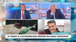 Και όμως ο λαγοκέφαλος μπορεί να είναι χρήσιμος