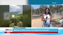 Έκτακτη είδηση: Φωτιά στον Άγιο Λαυρέντιο Πηλείου 