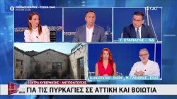 Γ. Σταμάτης (ΝΔ), Β. Αναστασίου (ΠΑΣΟΚ) & Μ. Πλειώνης (ΕΛΑΣ) σε αντιπαράθεση για τις πυρκαγιές 