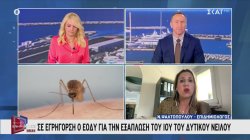 Σε εγρήγορση ο ΕΟΔΥ για την εξάπλωση του ιού του Δυτικού Νείλου