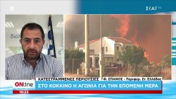 Φ. Σπανός: Βαρύς ο απολογισμός από την πύρινη λαίλαπα