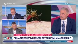 Θ.Βασιλακόπουλος για ιό του Δυτικού Νείλου: Είμαστε σε μεγάλη έξαρση που δεν ήταν αναμενόμενη 