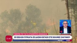 Σε εξέλιξη πυρκαγιά σε δασική έκταση στις Βολίμες Ζακύνθου 