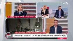Κ. Δημογλίδου για αξιωματικό του Πολεμικού Ναυτικού: «Έχει απασχολήσει για αντίστοιχο περιστατικό στο παρελθόν» 