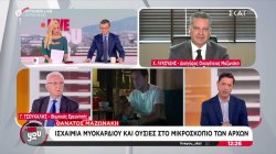 Θάνατος Γ.Μαζωνάκη: Τα όσα κατέθεσε η κόρη των γιατρών και τα τελευταία ευρήματα – Ο Χ.Λυκούδης σχολιάζει 