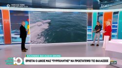 Ελληνικό θαλάσσιο drone: Έρχεται ο δικός μας 