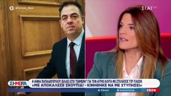 Άννα Παπαδοπούλου στον ΣΚΑΪ: «Δεν είναι πολιτική αντιπαράθεση, είναι προσωπική επίθεση – Κινήθηκε να με χτυπήσει»