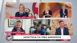 Κ. Δημογλίδου: Όποιος δημόσιος λειτουργός παρείχε βοήθεια σε αυτό το κύκλωμα, τα στοιχεία θα προκύψουν 