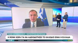 Τ. Χατζηβασιλείου: Η μόνη χώρα για να αδειοδοτήσει για το καλώδιο είναι η Ελλάδα