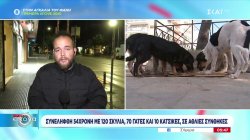 Συνελήφθη 54χρονη που είχε 120 σκυλιά, 70 γάτες και 10 κατσίκες σε άθλιες συνθήκες