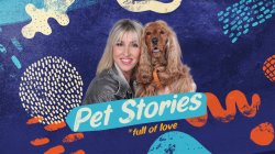 Pet Stories | 08/11/2025
