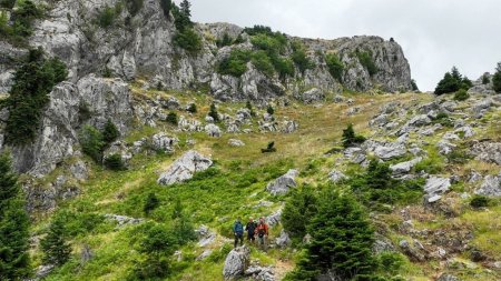 Happy Traveller | Γκιώνα (E)