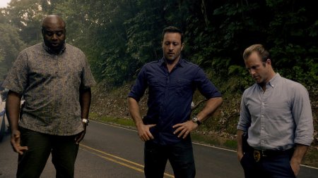 Hawaii Five-0 | Season 5, Episode 24 - Prey