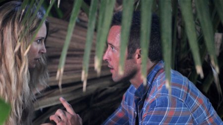 Hawaii Five-0 | Season 6, Episode 7 - Day Trippers