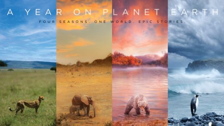 A Year on Planet Earth