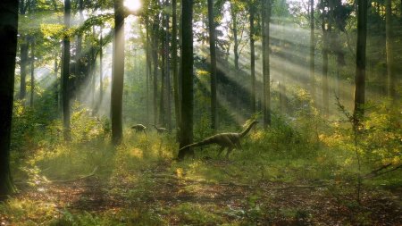 Earth | Episode 5 – Human