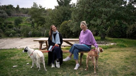 Pet Stories | Εριέττα Κούρκουλου Λάτση (E)