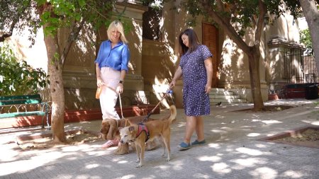 Pet Stories | Άννα Κουρή & Ορφέας (E)