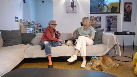 Pet Stories | Φωτεινή Παντζιά (E)