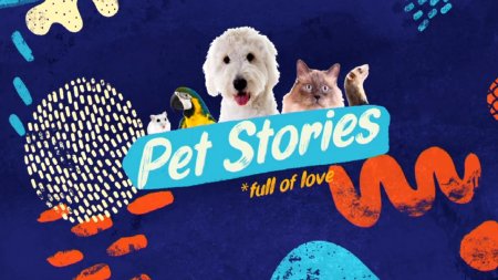 Pet Stories