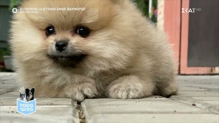 Παρά Τρίχα | 09/07/2021
