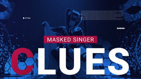 The Masked Singer - Clues