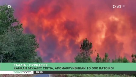 «Ο πλανήτης καίγεται»: Τεράστιες δασικές πυρκαγιές σε Γαλλία, Πορτογαλία, ΗΠΑ και Ρωσία 