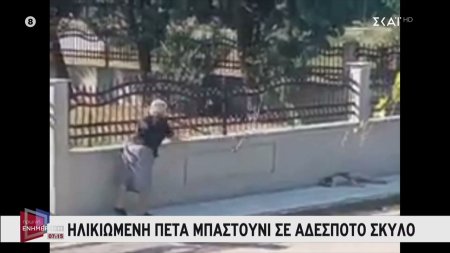Θεσσαλονίκη: Δικογραφία σε βάρος ηλικιωμένης που πέταξε μπαστούνι σε σκύλο 