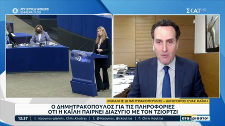 Ο Μ. Δημητρακόπουλος για τις πληροφορίες ότι η Ε. Καϊλή παίρνει διαζύγιο από τον Τζιόρτζι