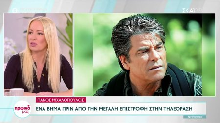 Πάνος Μιχαλόπουλος: Ένα βήμα πριν από την μεγάλη επιστροφή στην τηλεόραση