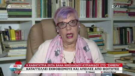 Καθηγήτρια ΕΚΠΑ στον ΣΚΑΪ: Δεν έχω απειληθεί αλλά φοβάμαι για την ασφάλειά μου