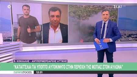 Μπαράζ νέων εστιών στην περιοχή του Αυλώνα – Καταγγελίες για εμπρησμό – Τι λέει ο Β. Κόκκαλης 