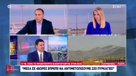 Κοντογεώργης στον ΣΚΑΪ: Μέσα σε 48 ώρες έπρεπε να αντιμετωπίσουμε 220 πυρκαγιές - θα ανανεωθεί ο στόλος της πυρόσβεσης