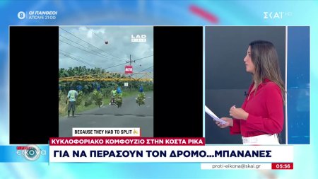 Κυκλοφοριακό κομφούζιο στην Κόστα Ρίκα για να περάσουν τον δρόμο... μπανάνες